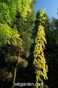 wbgarden spring 67